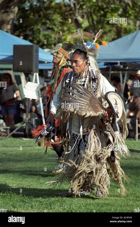 Native Dancer 的图像结果