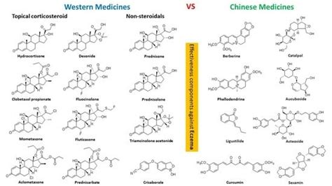 Comparison of the Effectiveness Differences between Western and Chinese ...