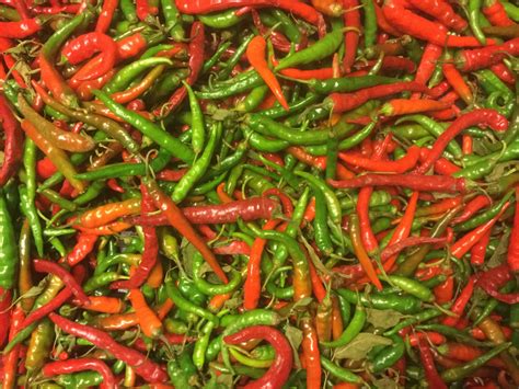 Dried Cayenne Peppers | So Delish