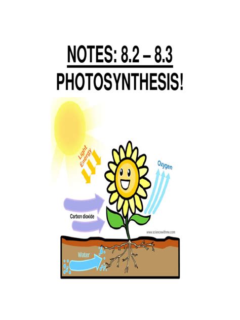 Image result for Basic Photosynthesis
