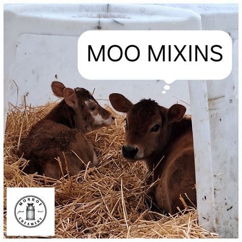 MONROE CREAMERY SUMMER TEASER POP-UP ANDMEET AND GREET WITH FUTURE ...