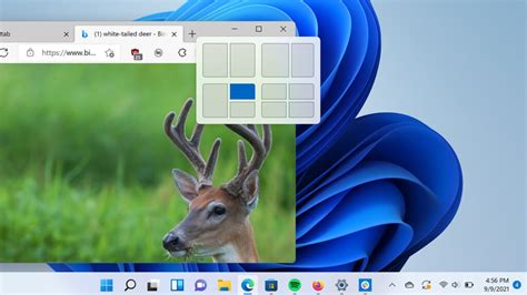 Image result for Program Window Layout