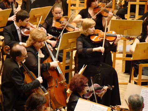 Free Images : person, concert, musician, profession, percussion, violin ...