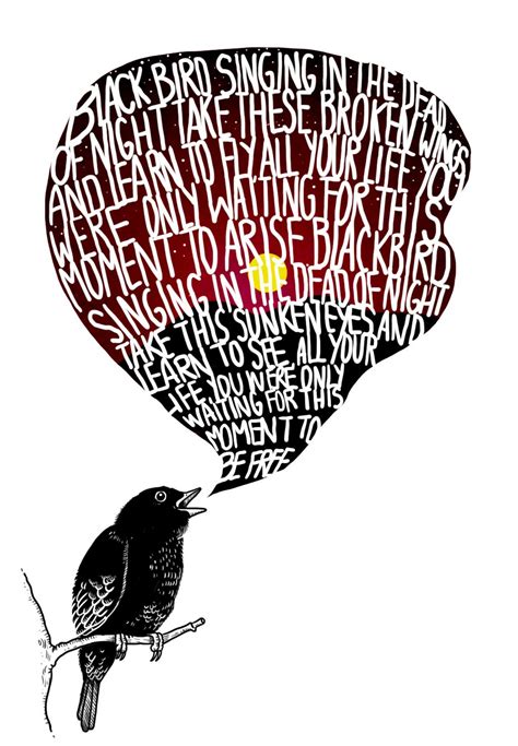 Black Bird. | Beatles art, Black bird, The beatles