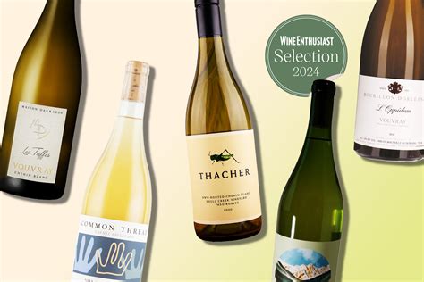 Domaine Benoit Gautier 2022 Chenin Blanc (Vouvray) Rating and Review ...