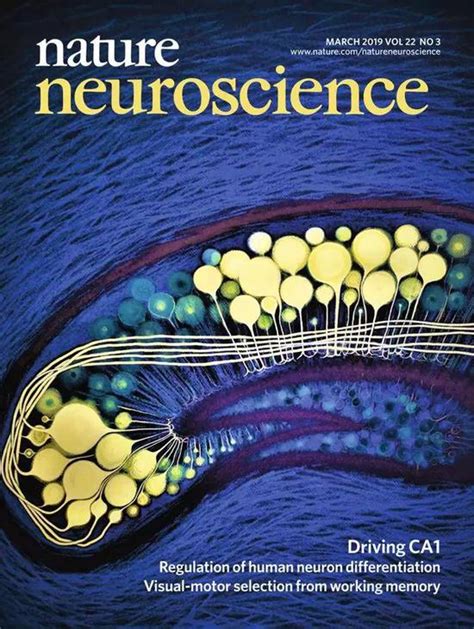 Nature期刊封面 的图像结果