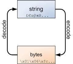 Image result for Python Encoding and Decoding