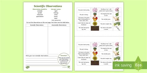 Scientific Observations Sorting Worksheet / Worksheet