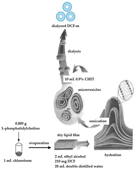Assessment of the Anti-Inflammatory Effectiveness of Diclofenac ...
