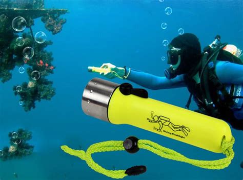 Image result for Diving Torch