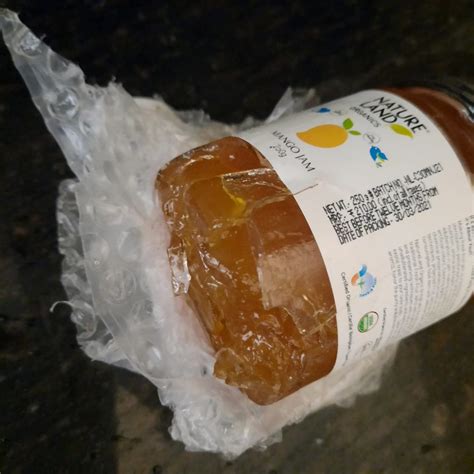 Natureland Organics Mango Jam 250 Gm - Healthy Organic Jams : Amazon.in ...