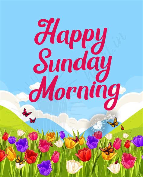 💖 Happy Sunday Morning! Images and Quotes for FREE