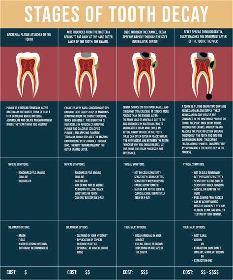 Stages Of Dental Caries 5 Stages Of Tooth Decay