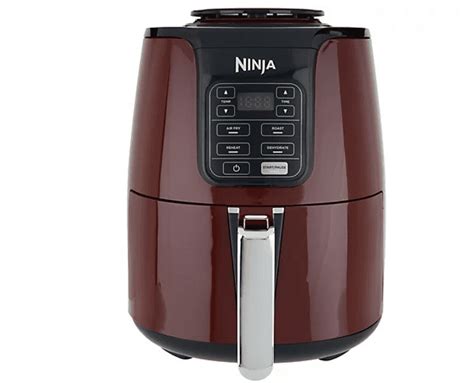 Ninja Power Speedy 4-qt Air Fryer with Removable Multi-Layer Rack ...