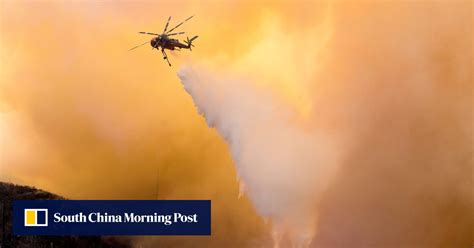 Image result for YouTube Trump Exploding Trees