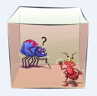 Math Problems Bytes 的图像结果