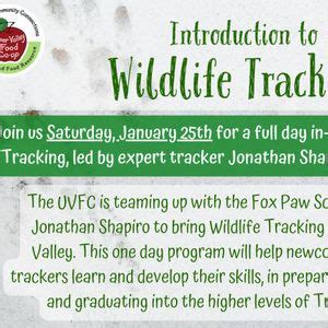 Wildlife Tracking in the Upper Valley - Full Day Workshop with the Fox ...