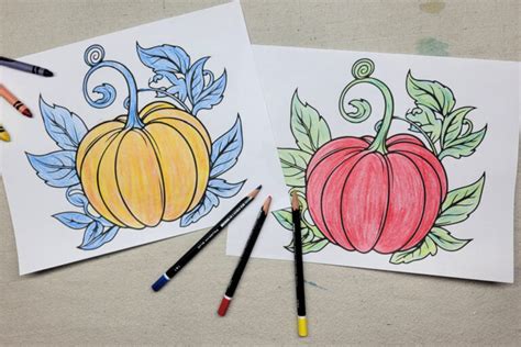 Image result for Complementary Colours Kids