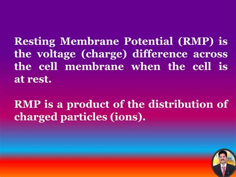 Image result for Muscle Resting Membrane Potential