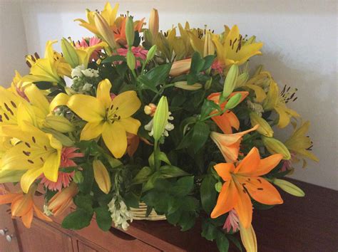 Phoenix Long-Distance Airport Shuttle to Sedona, Tucson & More