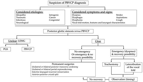 Management of Pediatric Bilateral Vocal Fold Paralysis: A State-of-the-Art Review of Etiologies ...