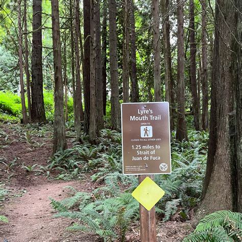 Lyre River Campground | Joyce, Washington