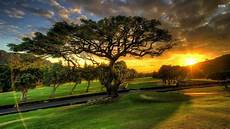 Wallpaper Wide Hd by Wallpapers Wide Hd Collections Wallpaper Wide Hd