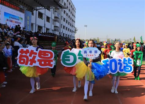 杭州娃哈哈外籍人员子女学校正式获得IB中学项目授权_杭州网