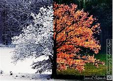 ausmalbilder herbst und winter herbst und winter bilder einer eiche w 228 hrend der ausmalbilder herbst und winter herbst und winter bilder einer eiche w 228 hrend der