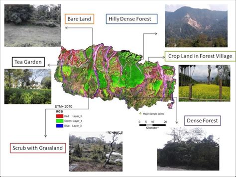 Image result for Vegetative Area. Examples
