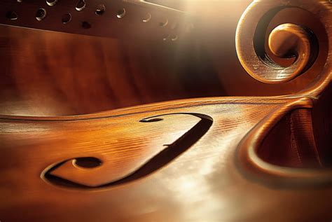 Image result for Abstract Musical Instruments