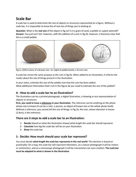 Image result for Basic Scale Bar