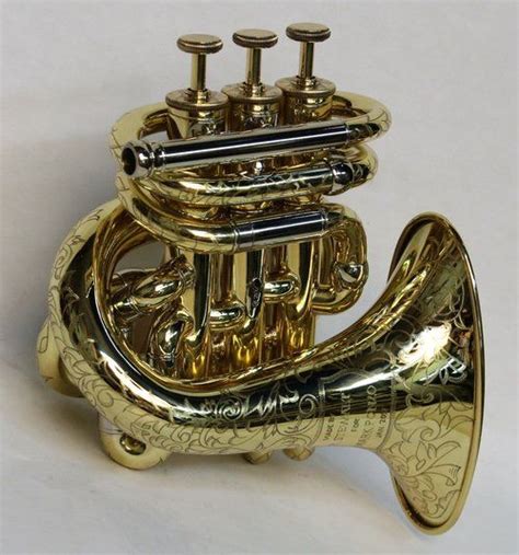 Image result for Cornet Musical Instrument
