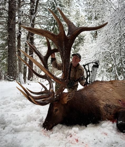 New Pending World Record Typical Elk