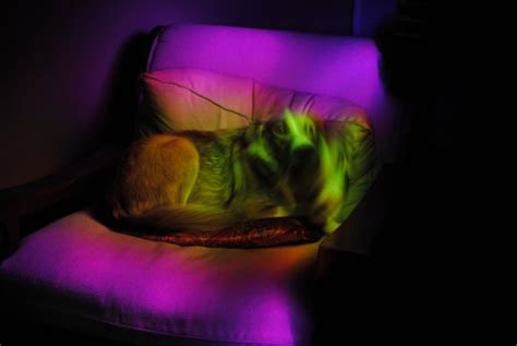 Computer Camera Hacks 的图像结果