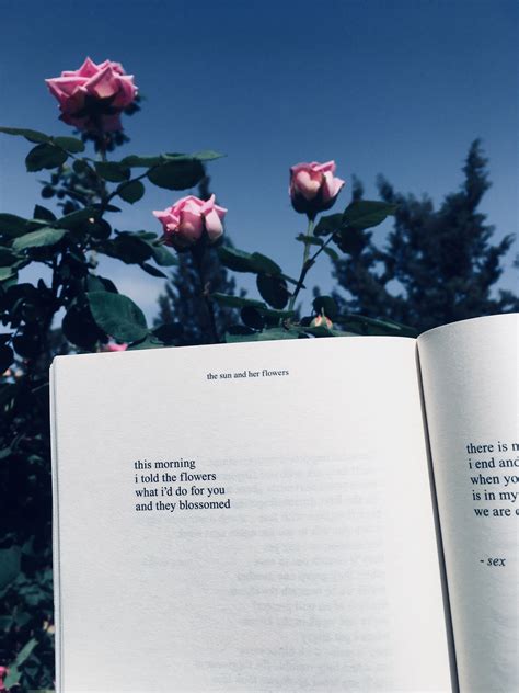 Books Aesthetic Wallpapers - Wallpaper Cave