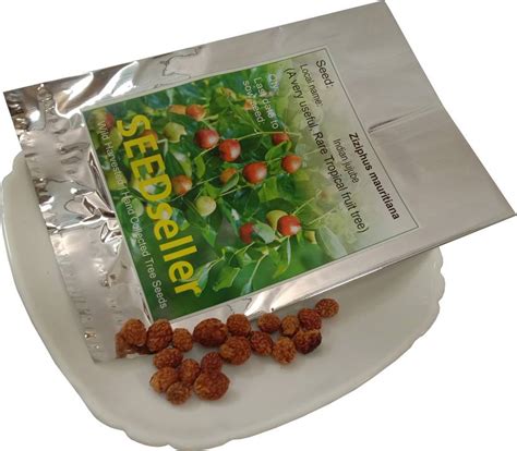 SEEDseller 15 seeds of Ziziphus mauritiana Indian jujube a tropical ...