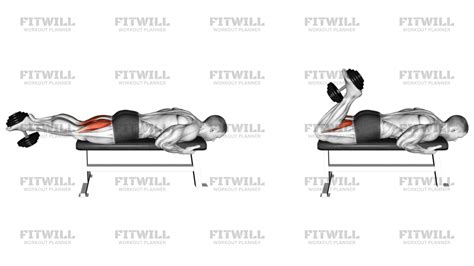 Dumbbell Hamstring Curl: Exercise Guide, Video, Techniques, Benefits ...