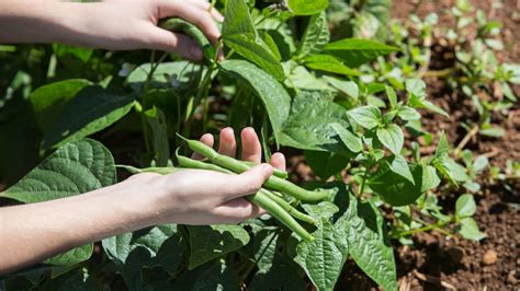 Image result for JavaScript Loading