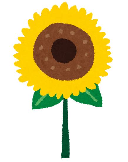Image result for Simple C Language Program