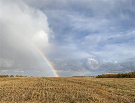 Image result for Natural Resources Examples