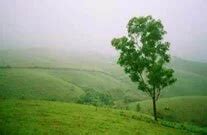 Kerala Hill Stations, Devikulam, Munnar, Ponmudi, Kalpetta, Sultan ...