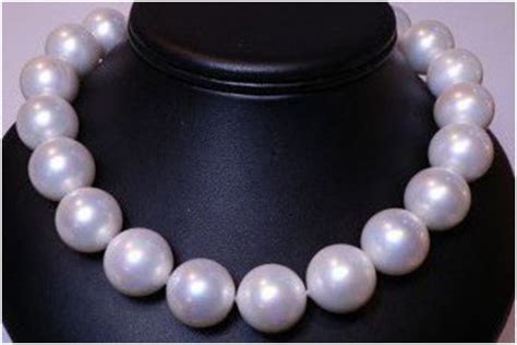 Image result for Perly Shells