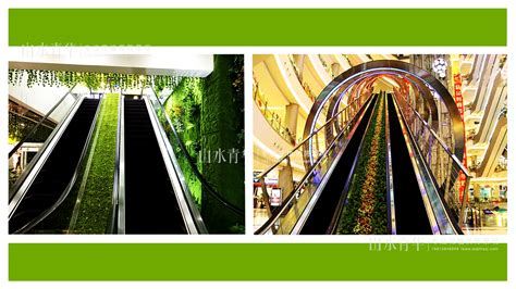 卖场园林景观造景，深圳某卖场绿植景观软装装饰-绿植景观-天海铭园植物墙