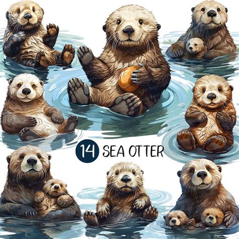Sea otter PNG | Cute Sea Animal Clip art Under the sea Illus | Inspire ...
