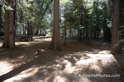 Image result for Stumpy Meadows Map