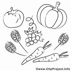 ausmalbilder kostenlos zum ausdrucken herbst kostenlose malvorlagen zum ausdrucken zum thema ernte ausmalbilder kostenlos zum ausdrucken herbst kostenlose malvorlagen zum ausdrucken zum thema ernte