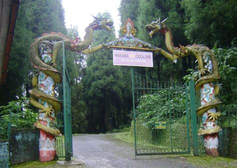 Himalayan Zoological Park, gangtok, India - Top Attractions, Things to ...