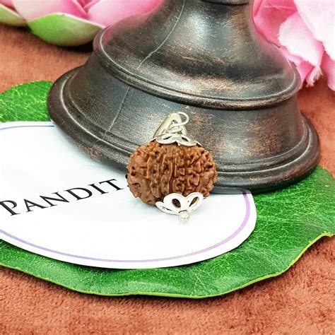 Rudraksha Online Store: Buy Original Rudraksha Products - Pandit.com