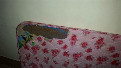PEMALING LORDS INN DIRANG (Arunachal Pradesh) - Hotel Reviews, Photos ...
